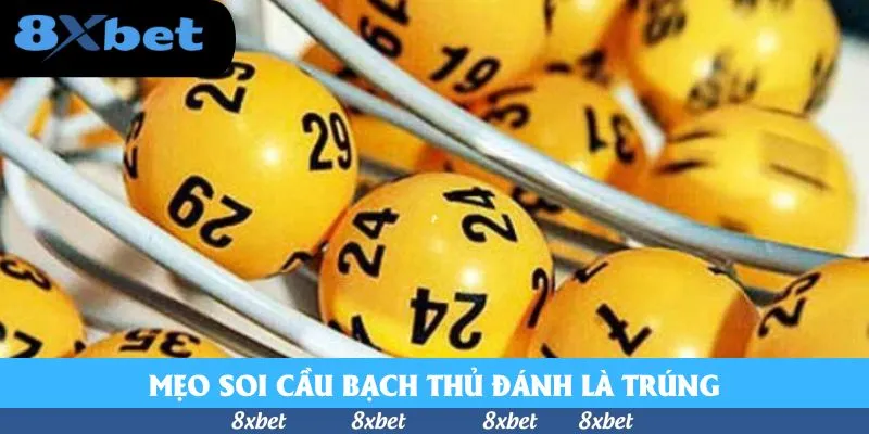 Mẹo soi cầu bạch thủ đánh là trúng